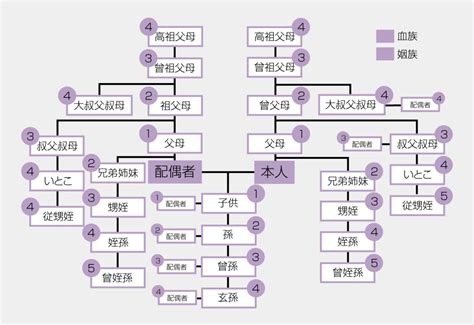 叔公是幾等親|叔公幾等親？專家解析